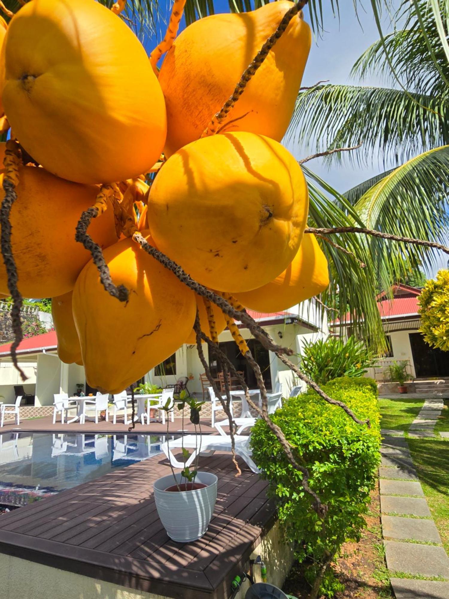 Emma'S Guest House And Self-Catering Au Cap Exterior foto